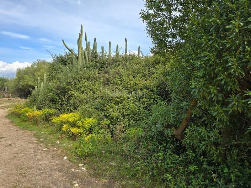 Foto 2f0cc5b1-31fe-4e67-89ed-bb1d4b7c63ea. Bauernhof in Son Gual Palma de Mallorca