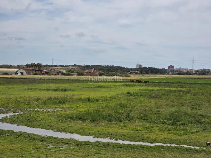 Foto 3dfd816b-373c-4c24-a52d-bae4a46100fe. Bauernhof in Son Gual Palma de Mallorca