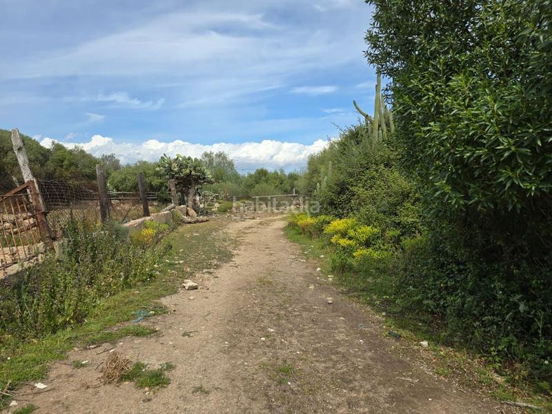 Foto 5ffc11aa-0155-4ebc-b8c7-6a198365d96c. Bauernhof in Son Gual Palma de Mallorca