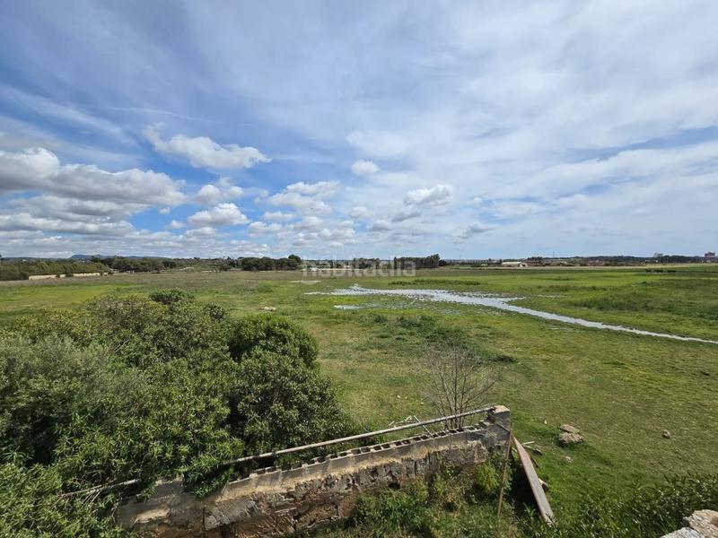 Foto 60111a33-dcb0-434a-a82e-c0e52edc1b2a. Bauernhof in Son Gual Palma de Mallorca