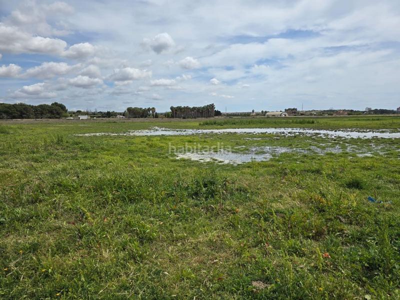 Foto 66fa0c83-a002-409b-b75f-e84dcf3257b8. Bauernhof in Son Gual Palma de Mallorca