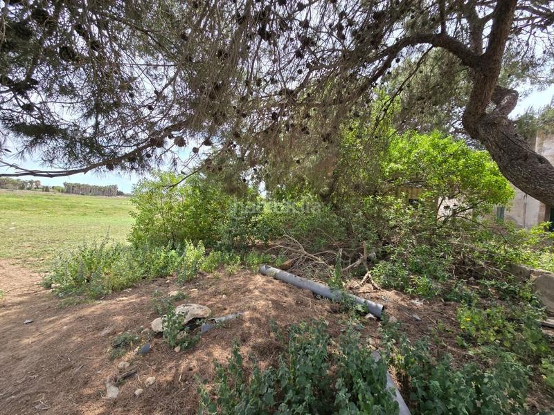 Foto 6ae00610-465f-43b4-8c65-731a8452405d. Bauernhof in Son Gual Palma de Mallorca