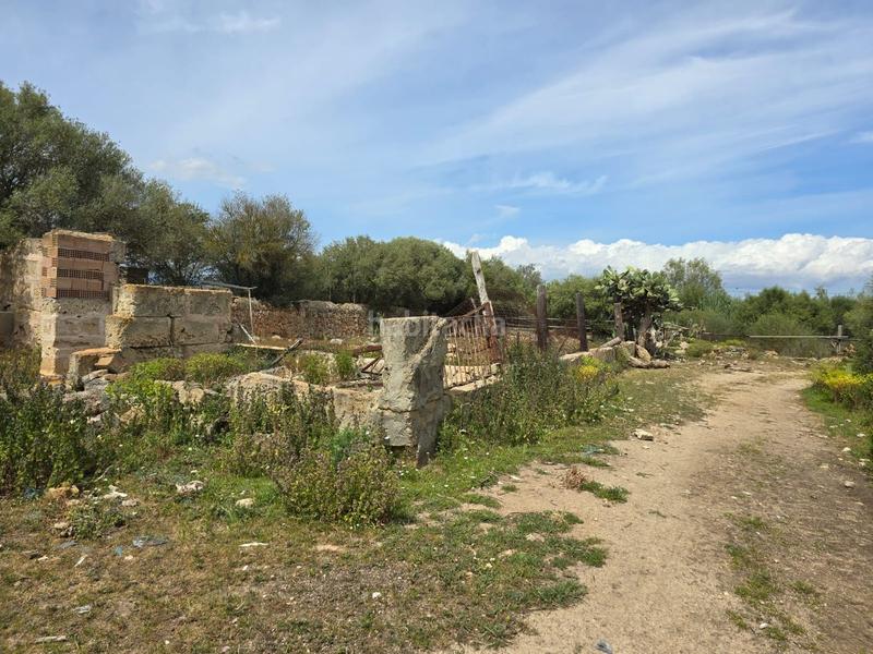 Foto 7a067e72-cf2c-4aec-8ca7-b5eadc7847f1. Bauernhof in Son Gual Palma de Mallorca