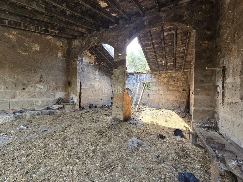 Foto 8a781edb-f56d-491a-80ba-34ef6c574743. Bauernhof in Son Gual Palma de Mallorca