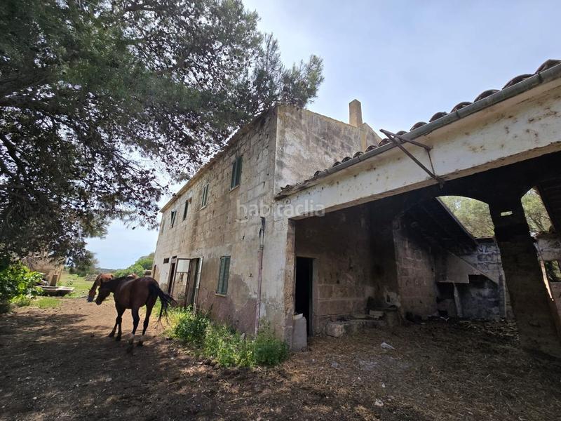 Foto ad62003e-e6ac-4e82-9442-145a9eebdda7. Bauernhof in Son Gual Palma de Mallorca