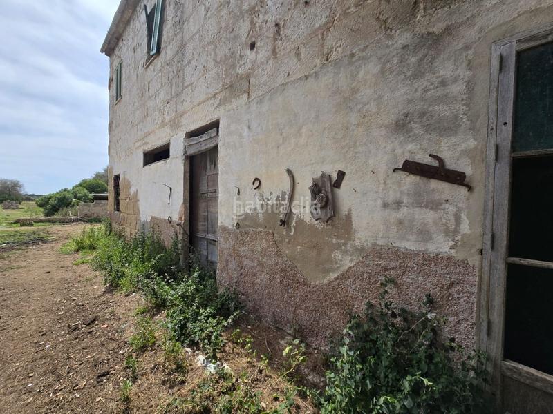 Foto c1a13c63-de8e-4fb0-831e-f1637a87ba96. Bauernhof in Son Gual Palma de Mallorca