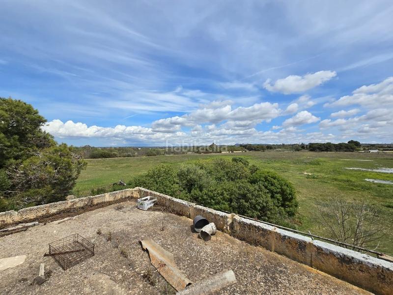 Foto c9626d13-1ab8-4f85-bf76-a8ec31eb8a71. Bauernhof in Son Gual Palma de Mallorca
