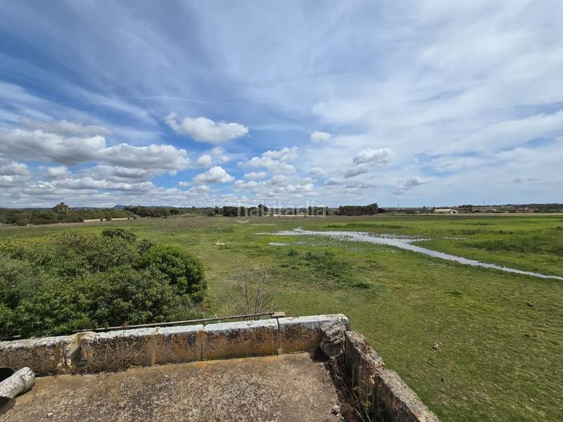 Foto cae75f5f-1a04-46aa-b8df-99ca69a8a6bb. Bauernhof in Son Gual Palma de Mallorca