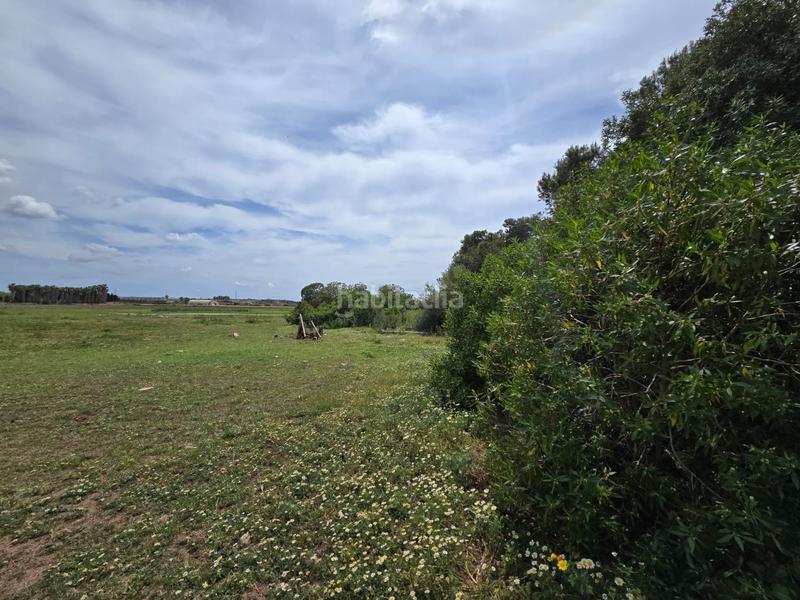 Foto dd208af4-d273-409f-9037-e01af569ba33. Bauernhof in Son Gual Palma de Mallorca