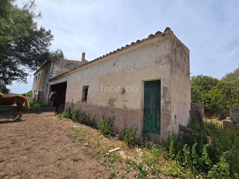 Foto e79cb406-4729-4d50-bdf9-8abeef9d425e. Bauernhof in Son Gual Palma de Mallorca