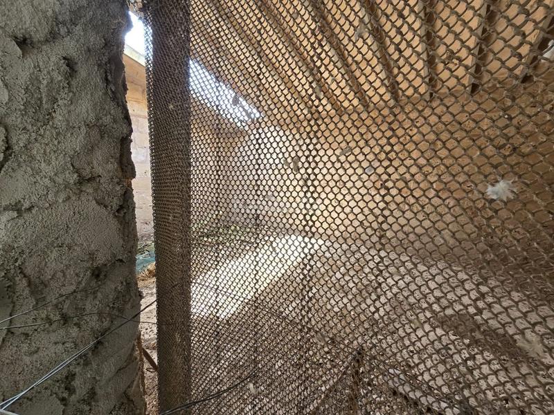 Foto e854da2c-317f-48d2-a30e-d5bcb54f8119. Bauernhof in Son Gual Palma de Mallorca