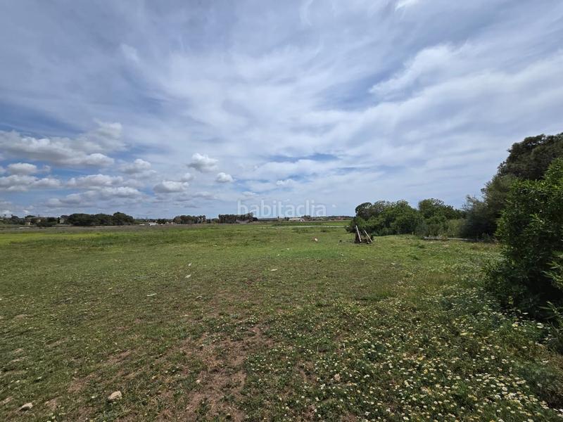 Foto f45aa38f-4fc5-4b90-98c9-08f4ead3e7ee. Bauernhof in Son Gual Palma de Mallorca