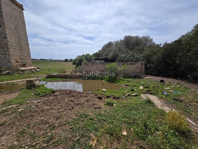 Foto f5738a74-8715-45cb-b9a6-7dcf17434c3f. Bauernhof in Son Gual Palma de Mallorca