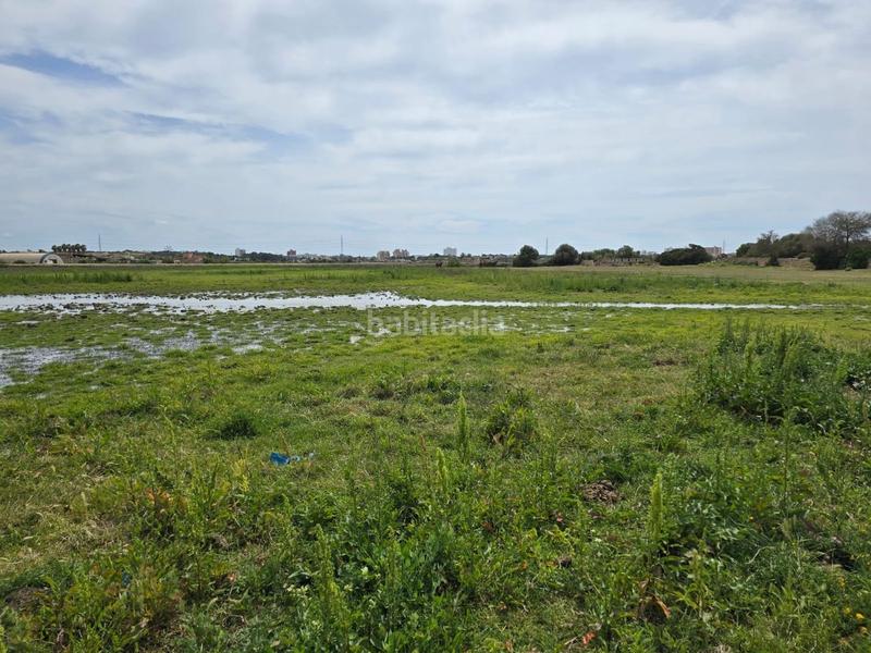 Foto ff05422c-a64d-4969-b107-42d0b488b0b8. Bauernhof in Son Gual Palma de Mallorca
