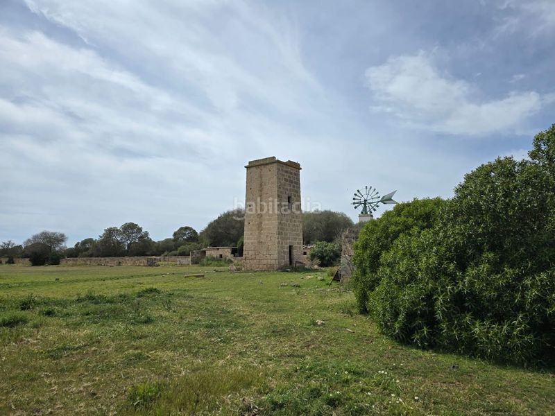 Foto 4434ba4f-4cea-4405-90ca-d8546785e537. Masia a Son Gual Palma de Mallorca