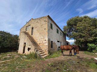 Masia a Son Gual