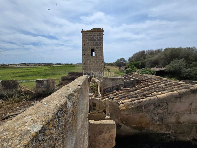 Foto d79446b5-2dea-41a2-a2f5-9eb7c161fc7b. Masia a Son Gual Palma de Mallorca