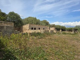 Bauernhof in Son Gual