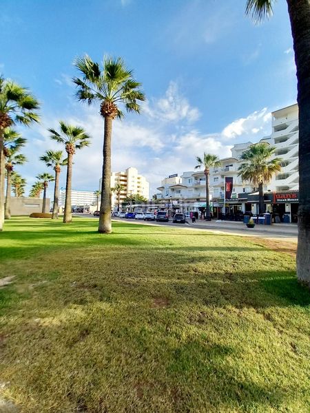 Foto 18333c01-0b63-4d09-b186-0b24fb35b3ab. Apartament amb aparcament piscina a Sant Llorenç des Cardassar