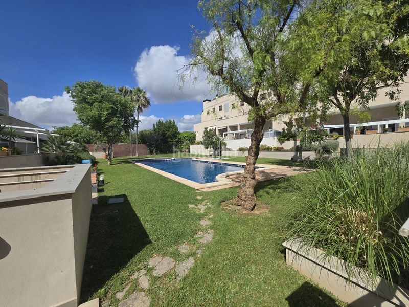 Foto 90bd6cde-9b30-46f6-beed-c9e6b511eb9b. Planta baixa amb aparcament piscina a Son Amonda - Reis Catòlics Inca