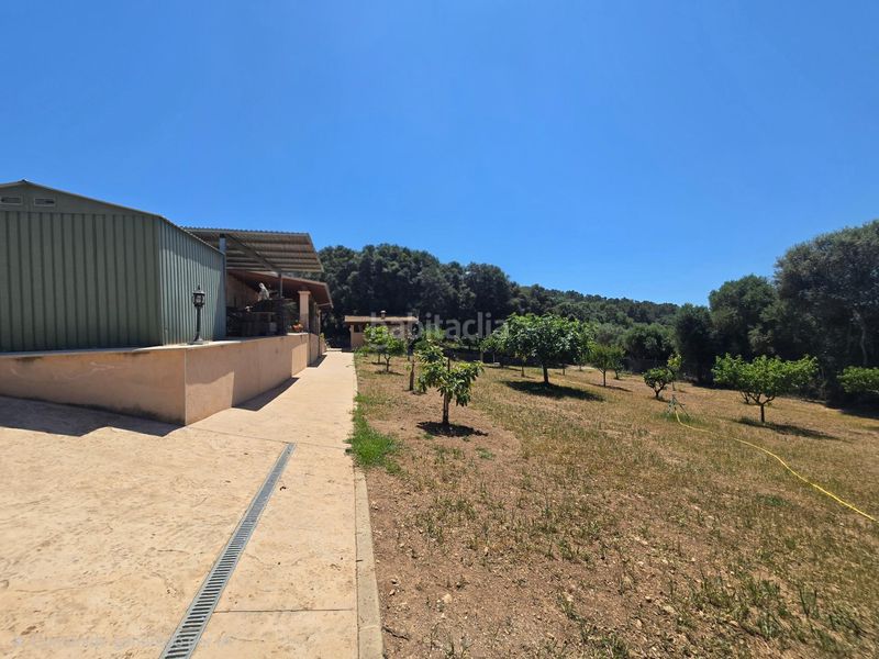 Foto 0ad6f60c-33b8-4d5c-b86e-28a439958e2a. Masia amb calefacció aparcament a Manacor centre Manacor
