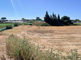 Finca rústica a Bonanza-Avda de Huelva-Barrio Andalucia. Terreno rústico en bonanza