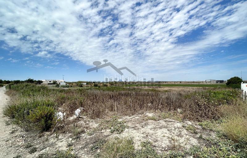 Foto 1e8527bd-61e1-49b0-8944-b7a8cd5946bc. Finca rústica a Ctra Jerez-Ctra del Puerto Sanlúcar de Barrameda