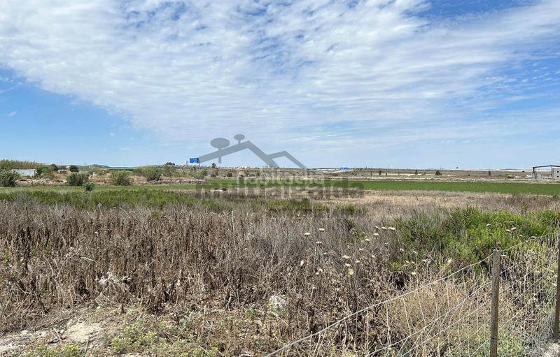 Foto 5b48b660-e1de-4be1-8294-d97ddbe2e04b. Finca rústica a Ctra Jerez-Ctra del Puerto Sanlúcar de Barrameda