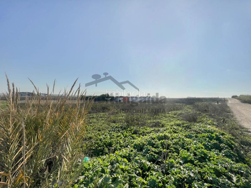 Foto 64182098-e0a3-4b64-ba29-338c38a27bdd. Finca rústica a Ctra Jerez-Ctra del Puerto Sanlúcar de Barrameda