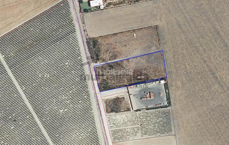 Foto 70df65ff-91d0-4e41-824a-69562c5d4699. Finca rústica a Ctra Jerez-Ctra del Puerto Sanlúcar de Barrameda