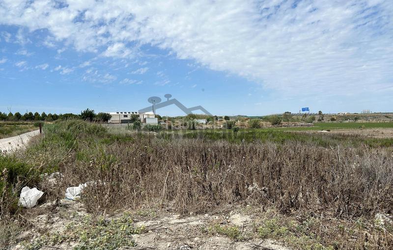 Foto 809feac5-09cf-4792-a671-5776fa6d846b. Finca rústica a Ctra Jerez-Ctra del Puerto Sanlúcar de Barrameda