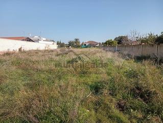 Landgut in Monteolivete-Camino Sevilla. Parcela rústica en cabeza de la vaca