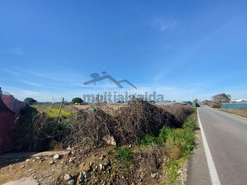 Foto 3b8c4b98-e193-44be-95f8-d9956e98a55e. Finca rústica a Chipiona norte Chipiona