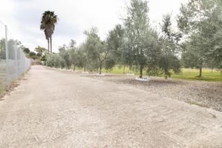 Xalet a El Rocío - La Milagrosa. Chalet rustico en pedanias del este