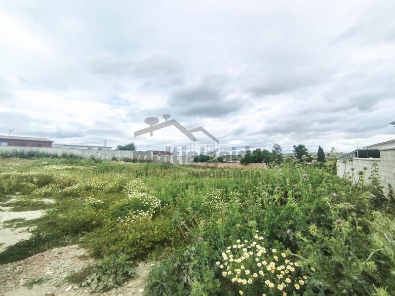 Foto 0272aa24-3060-4398-b5b7-2128c31f417b. Propriété dans Monteolivete-Camino Sevilla Sanlúcar de Barrameda