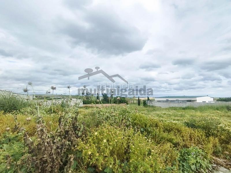 Foto 349f3149-3ac9-4a8e-b687-6df597042a17. Propriété dans Monteolivete-Camino Sevilla Sanlúcar de Barrameda