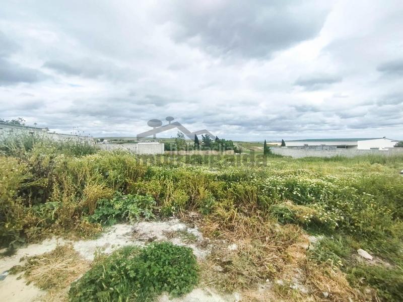 Foto 52a01ee9-ead3-41f1-bb2e-64556b7f87d6. Propriété dans Monteolivete-Camino Sevilla Sanlúcar de Barrameda