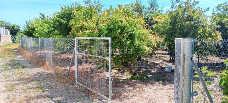 Foto 204a1566-8cd6-4d5e-a10f-f851e1c5cb7b. Terreny residencial a Centro-Calzada-Cabo Noval Sanlúcar de Barrameda