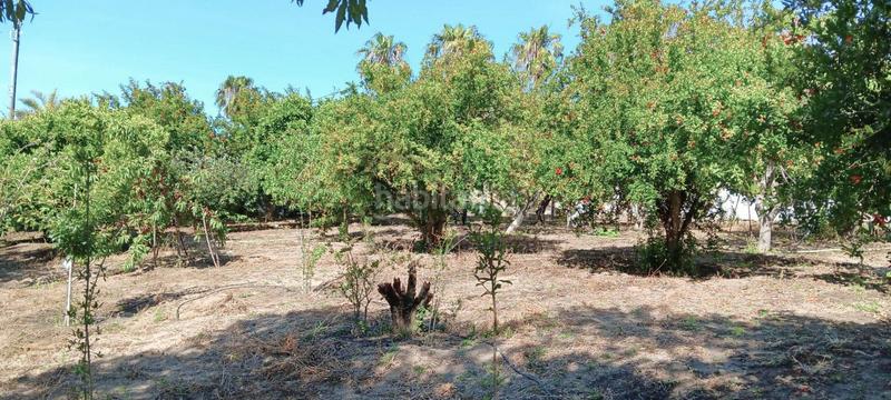 Foto 3af86360-7985-4060-873f-6c5201074bee. Terreny residencial a Centro-Calzada-Cabo Noval Sanlúcar de Barrameda