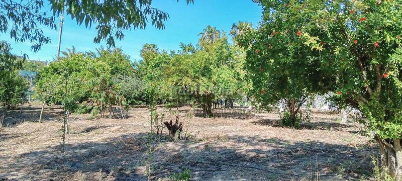 Foto fb55650c-476e-49fd-a45d-e97d4a13e235. Terreny residencial a Centro-Calzada-Cabo Noval Sanlúcar de Barrameda