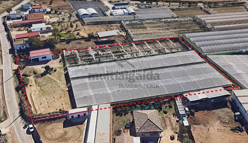 Foto 250cf167-407a-40da-a765-7101cfc69fb1. Finca rústica  en av. rota en Ayuntamiento-Barrio Alto Sanlúcar de Barrameda
