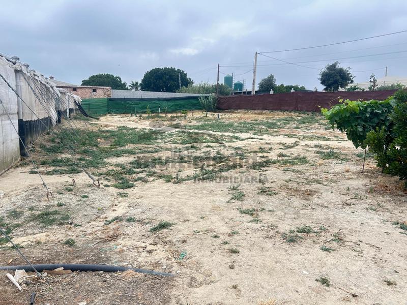 Foto 5d87bbfc-3adc-4529-98ac-b744a9dff731. Finca rústica  en av. rota en Ayuntamiento-Barrio Alto Sanlúcar de Barrameda