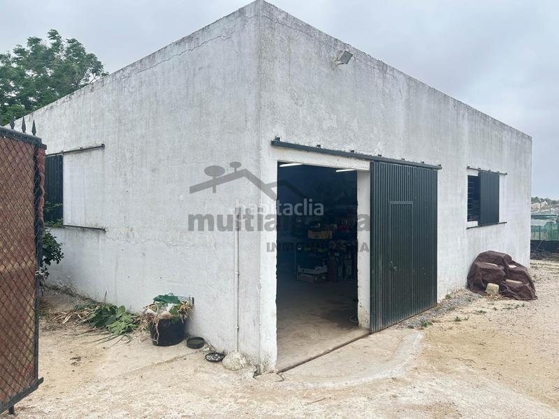 Foto 774550e6-2899-494e-bf46-9b405a1b5c91. Finca rústica  en av. rota en Ayuntamiento-Barrio Alto Sanlúcar de Barrameda