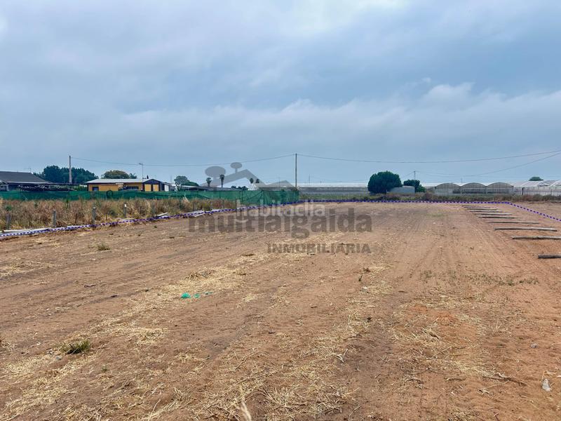 Foto 1ee1773c-7931-440f-9e73-d537dc6b5afa. Finca rústica terreno rústico en pago lopina en Chipiona norte Chipiona