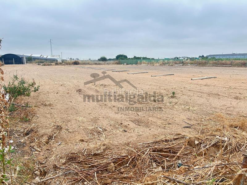 Foto b7d6b3b1-1cc5-459a-898b-2b8717bc2875. Finca rústica terreno rústico en pago lopina en Chipiona norte Chipiona