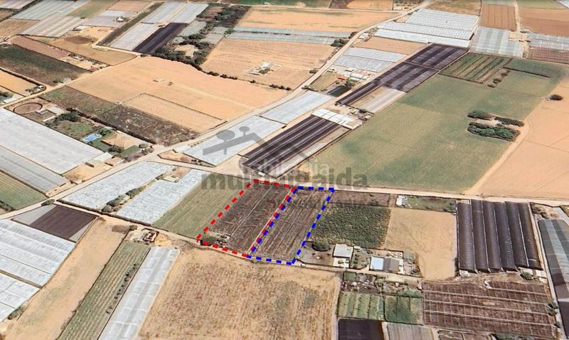 Foto cacf2913-fd91-4d7f-b1fe-8b52cadb8872. Finca rústica terreno rústico en pago lopina en Chipiona norte Chipiona