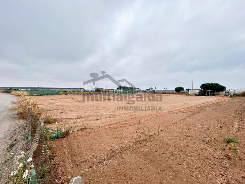 Foto cbfd167d-48c8-4f18-a58f-8181ec4ccb05. Finca rústica terreno rústico en pago lopina en Chipiona norte Chipiona