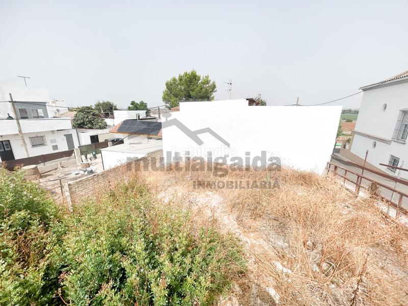 Foto 9a73e3f3-697c-47fd-aad9-6d7261a37836. Terreno residencial terreno urbano en torremelgarejo en Jerez de la Frontera