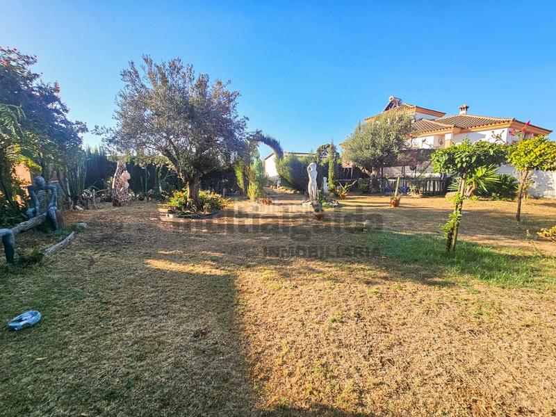 Foto 5e223fb4-0f6f-4aa5-a71b-f387102ceec5. Finca rústica a Centro-Calzada-Cabo Noval Sanlúcar de Barrameda