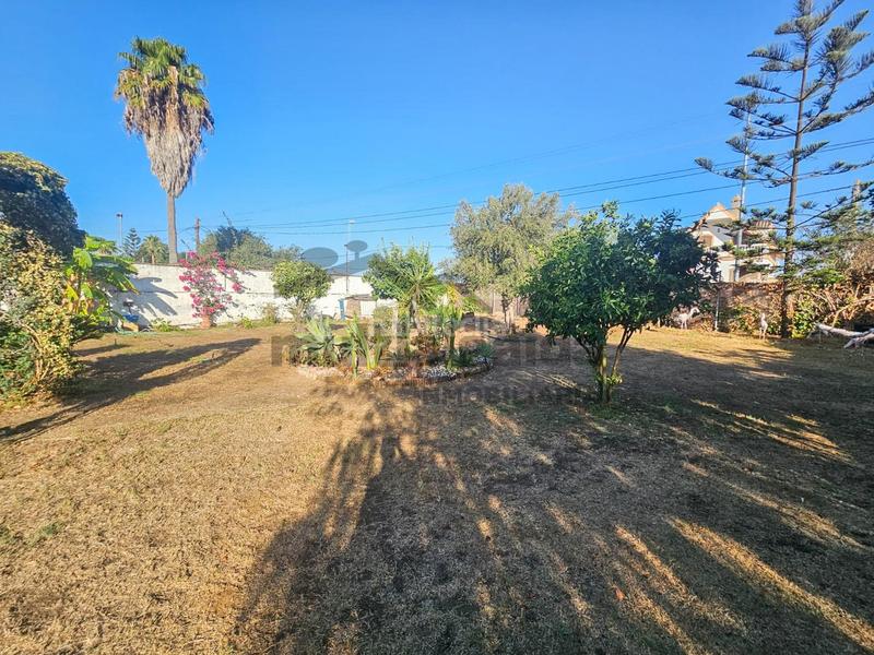 Foto 783b0396-d31f-46ab-b47d-c9d6f7249ad9. Finca rústica a Centro-Calzada-Cabo Noval Sanlúcar de Barrameda